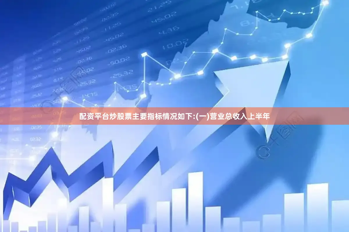 配资平台炒股票主要指标情况如下:　　(一)营业总收入　　上半年