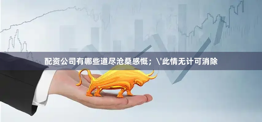 配资公司有哪些道尽沧桑感慨；'此情无计可消除